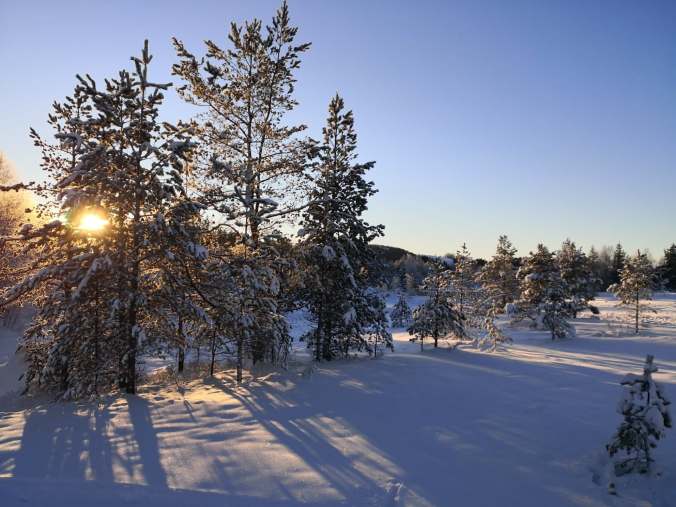 Norwegian winter landscape