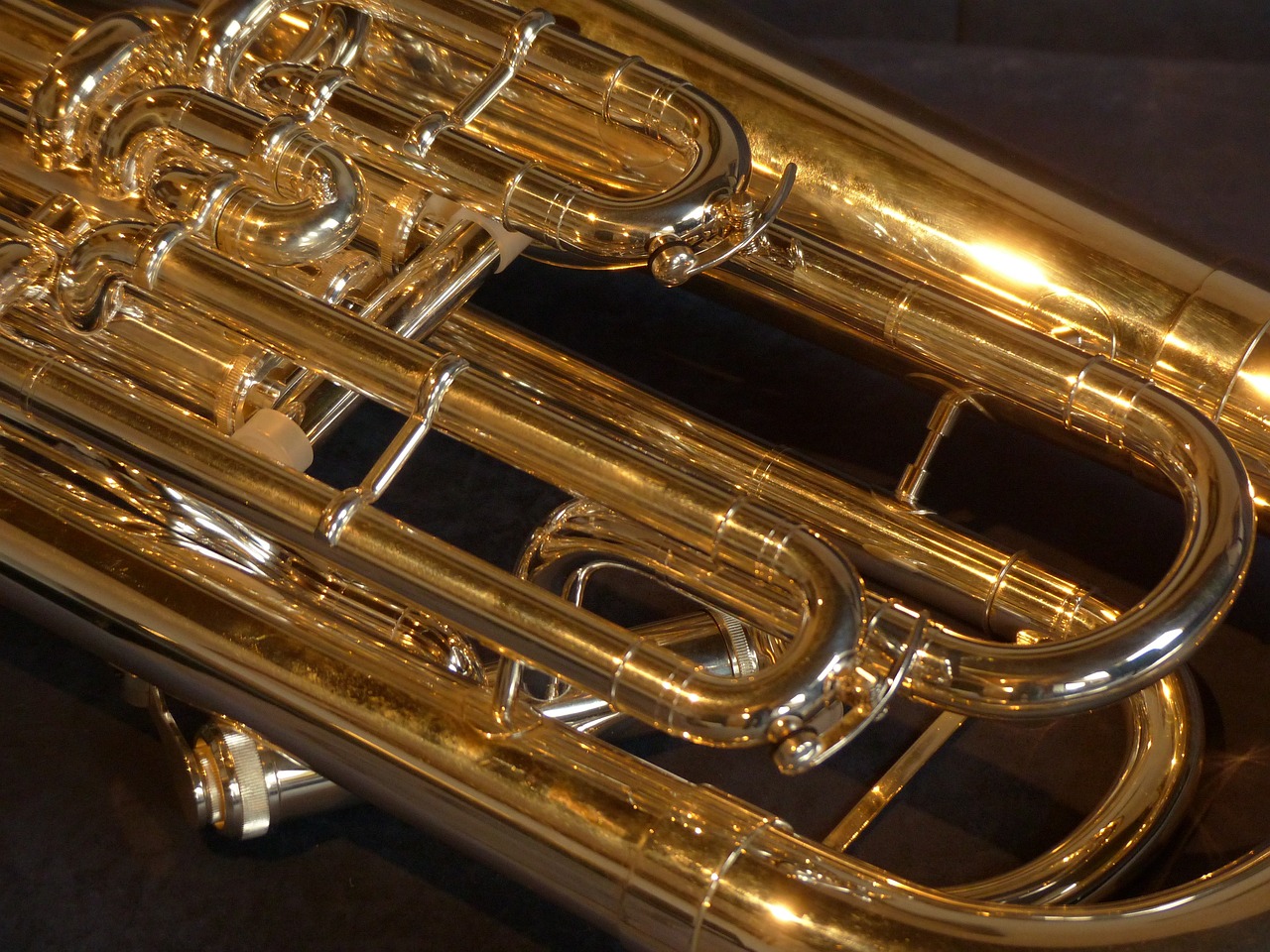 euphonium-93872_1280